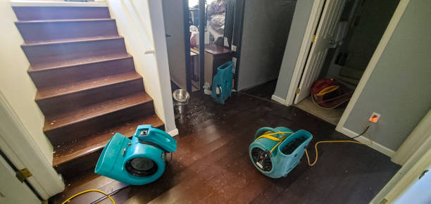 Best Local water damage restoration  in Deltana, AK