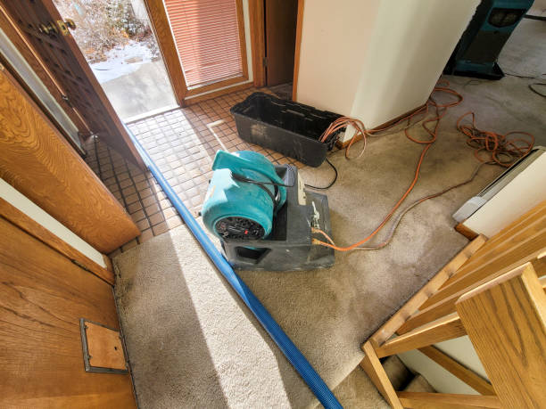  Deltana, AK Water damage restoration Pros