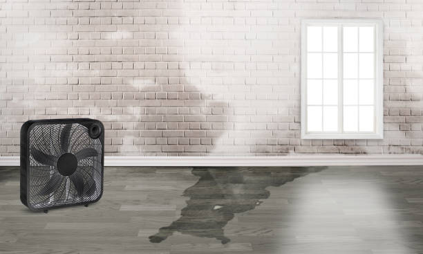 Best Ceiling water damage repair  in Deltana, AK