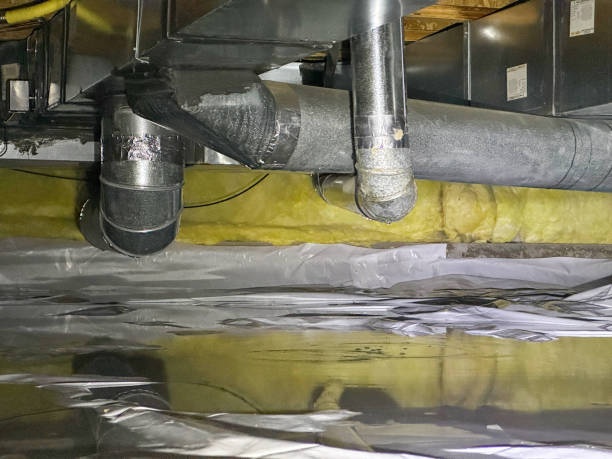 Best Flood damage cleanup  in Deltana, AK