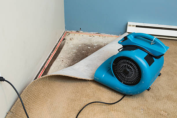 Best Water damage restoration near me  in Deltana, AK